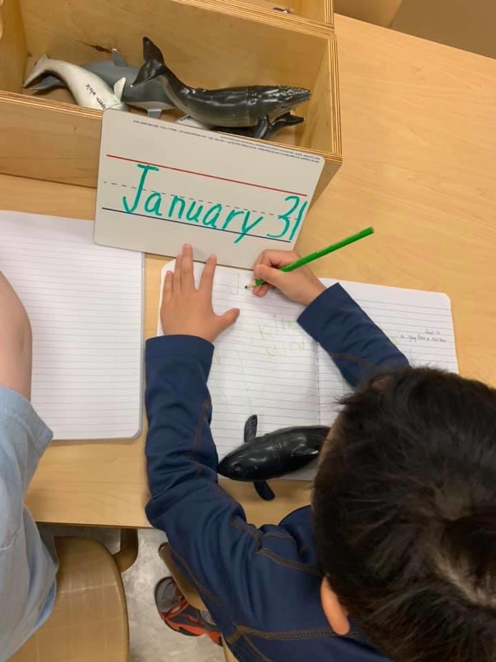 writing11